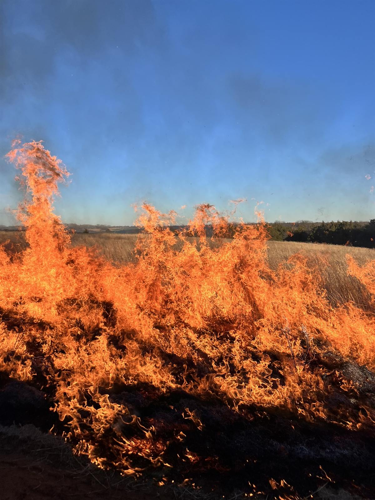Grass fire under a blue sky